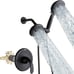 POP SANITARYWARE Black Dual-Function Shower Faucet Set ((100.00 VALUE))
