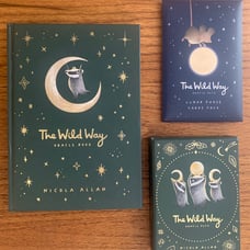 The Wild Way Oracle deck book and bonus cards astrology Decans brand new Nicola
