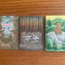 The Wild Way Oracle deck book and bonus cards astrology Decans brand new Nicola