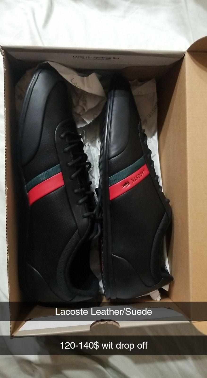 Lacoste men