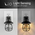 Vintage LED Night Light Plug-in Dusk to Dawn Sensor