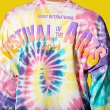 Disney World EPCOT Festival of the Arts 2019 Spirit Jersey XS