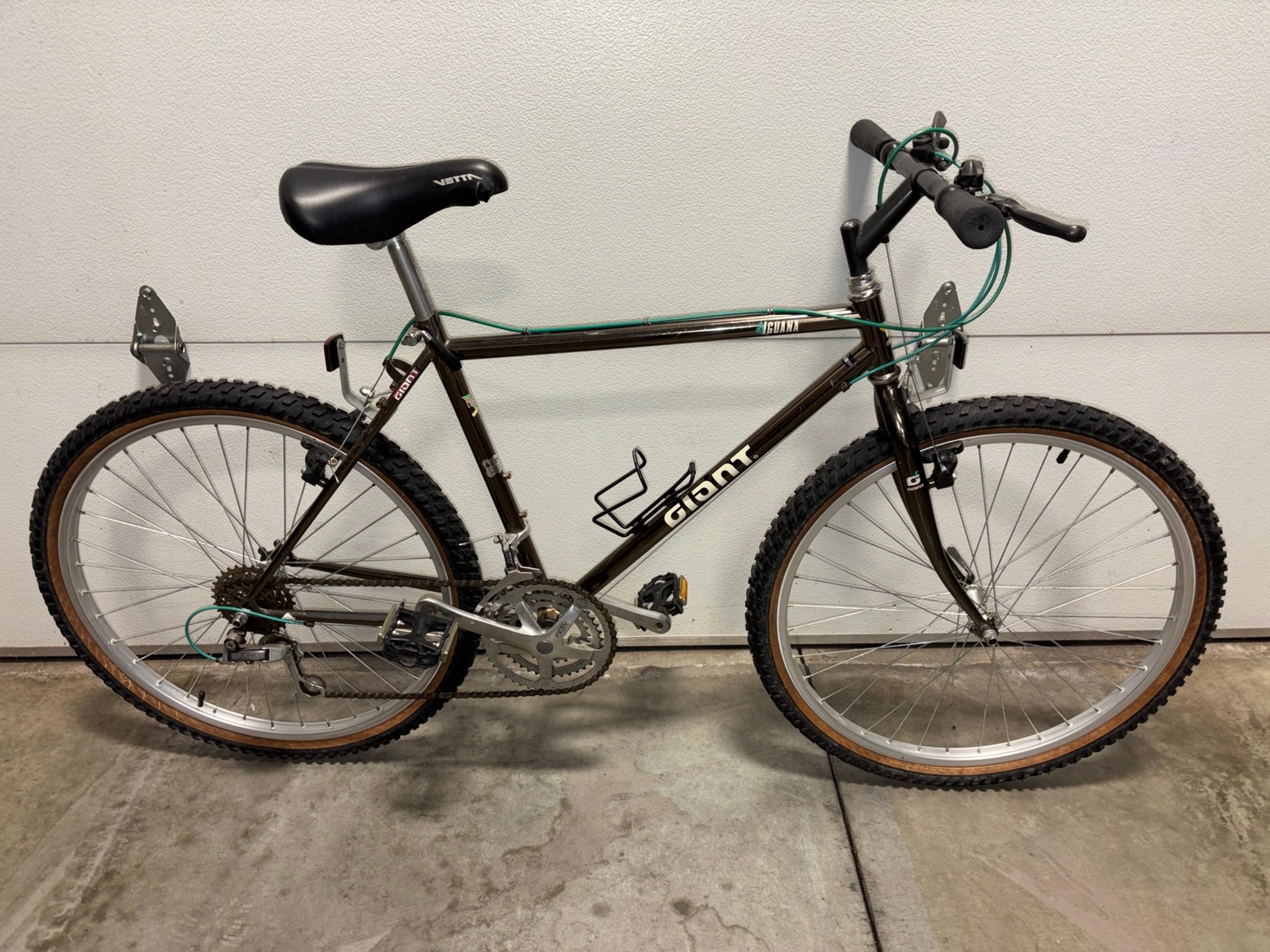 Vintage 1990’s Giant Mountain Bike