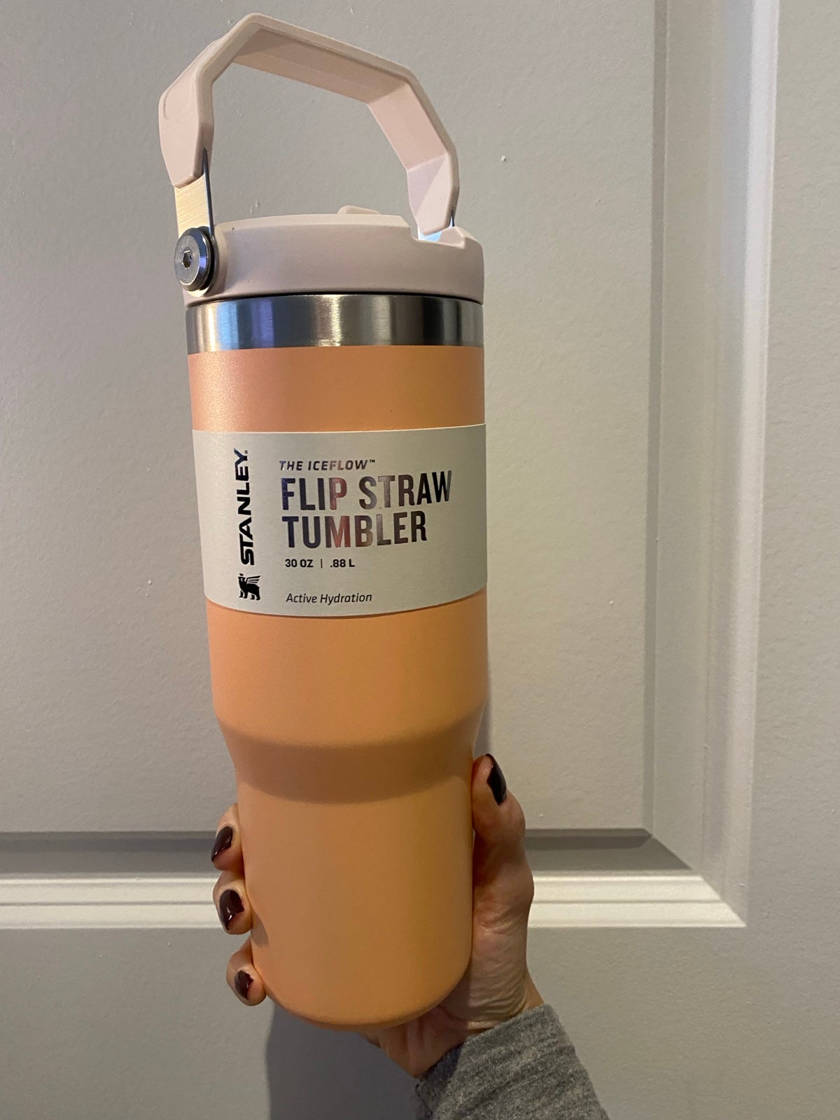 Stanley 30 oz Stainless Steel IceFlow Flip Straw Tumbler