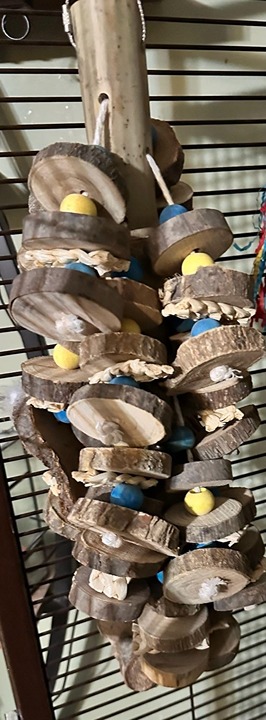 Large Bird Parrot Toy, Multicolored Natural Wooden Bird Chewing Toys for Macaws