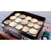 Blackstone Adventure Ready 22 Griddle with Stand and Adapter Hose