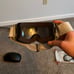 Outdoor Master Ski/Snowboard Goggles