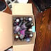 25 Random Mix Opi Nail Lacquer Bundle