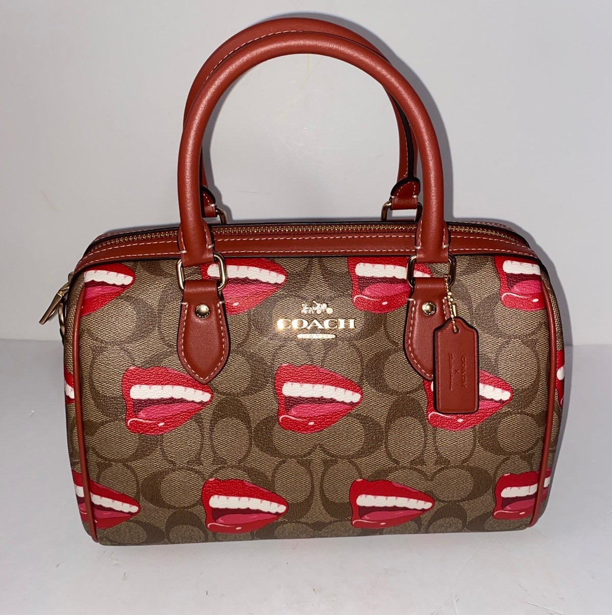 COACH X TOM WESSELMANN ROWAN SATCHEL BAG