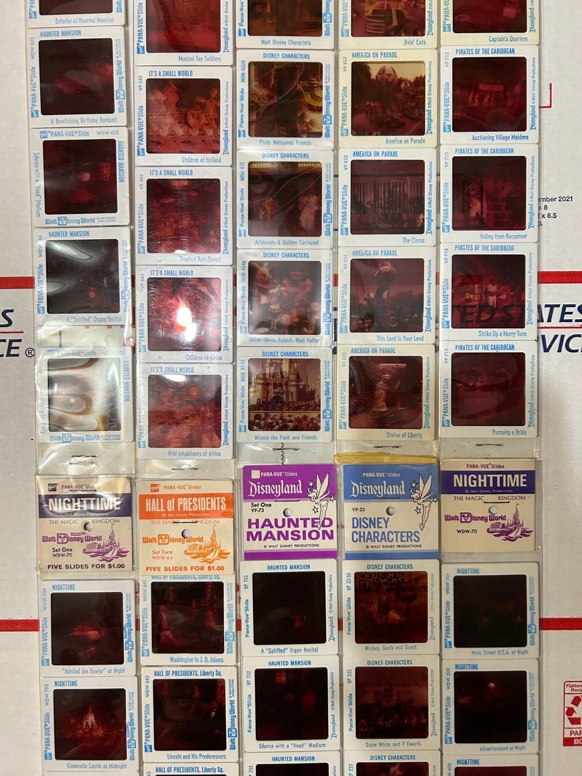 Disney Haunted Mansion Pana Vue Slides