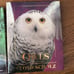 シマフクロウ & OWLS 2-book set