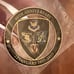 Army Special Operations coin