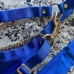 Honey Birdette Kukuro Electric Blue Brief XXL NWT