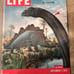 Magazine