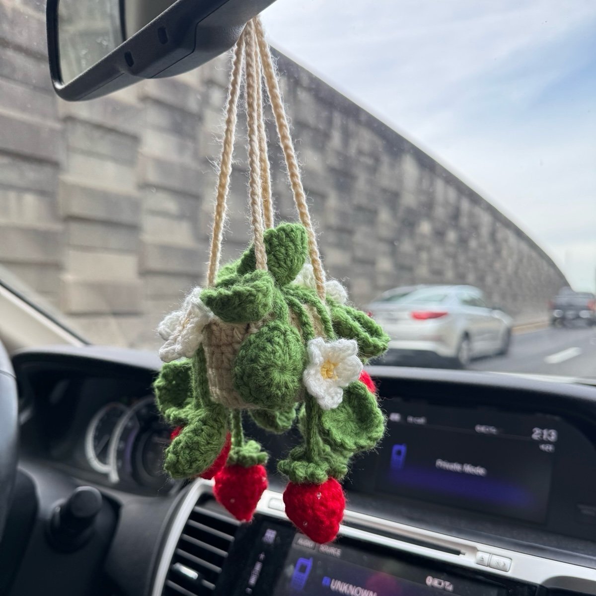 Crochet Hanging Plant Strawberry