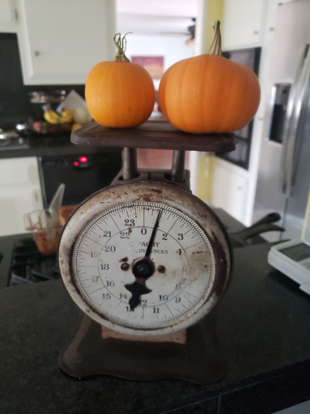 Vintage kitchen weigher