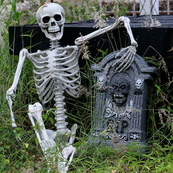 New 5.6ft Halloween Life-Size Skeleton: Party Decor