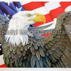 Resolve, America