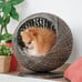 Pet Hammock for Cats