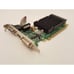 EVGA / NVIDIA GeForce 210 512MB DDR3 PCI-E Video Card | P/N 512-P3-1311-KR 3814H