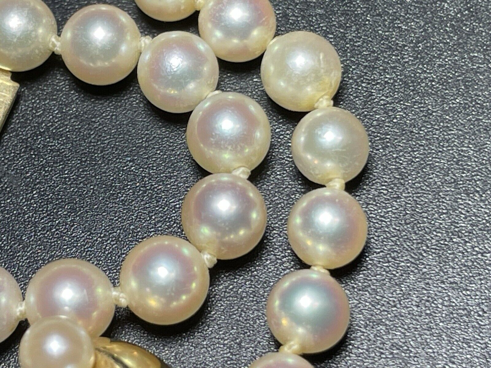 14k gold Akoya pearl Necklace 4.5 mm 20 inch necklace Thick 14k gold glasp