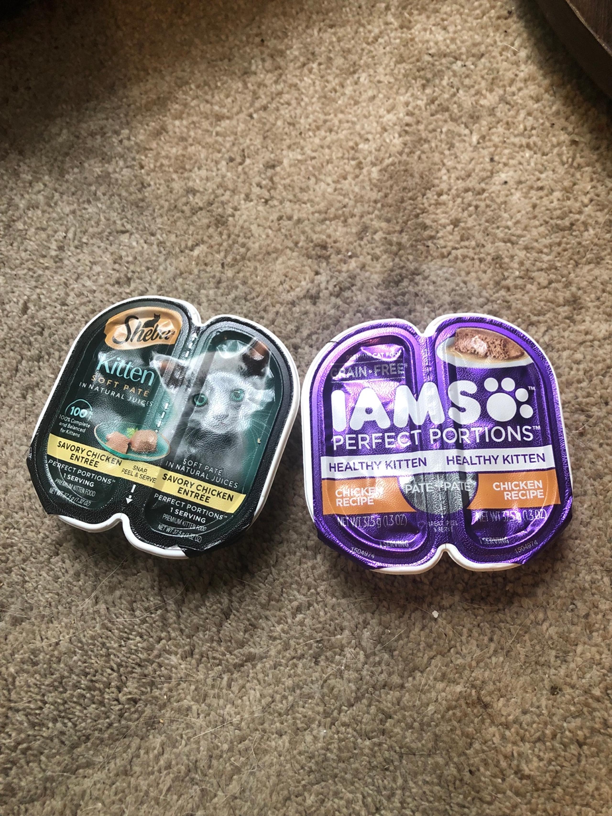 kitten food