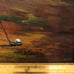 Original Oil Painting by T Kelly