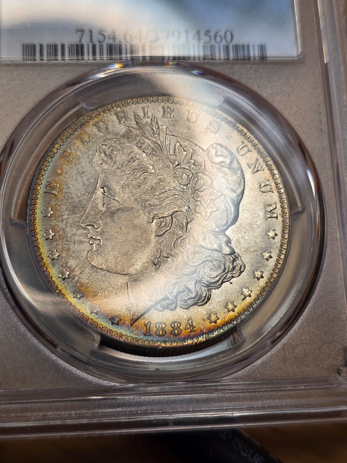 Toned Morgan Dollar
