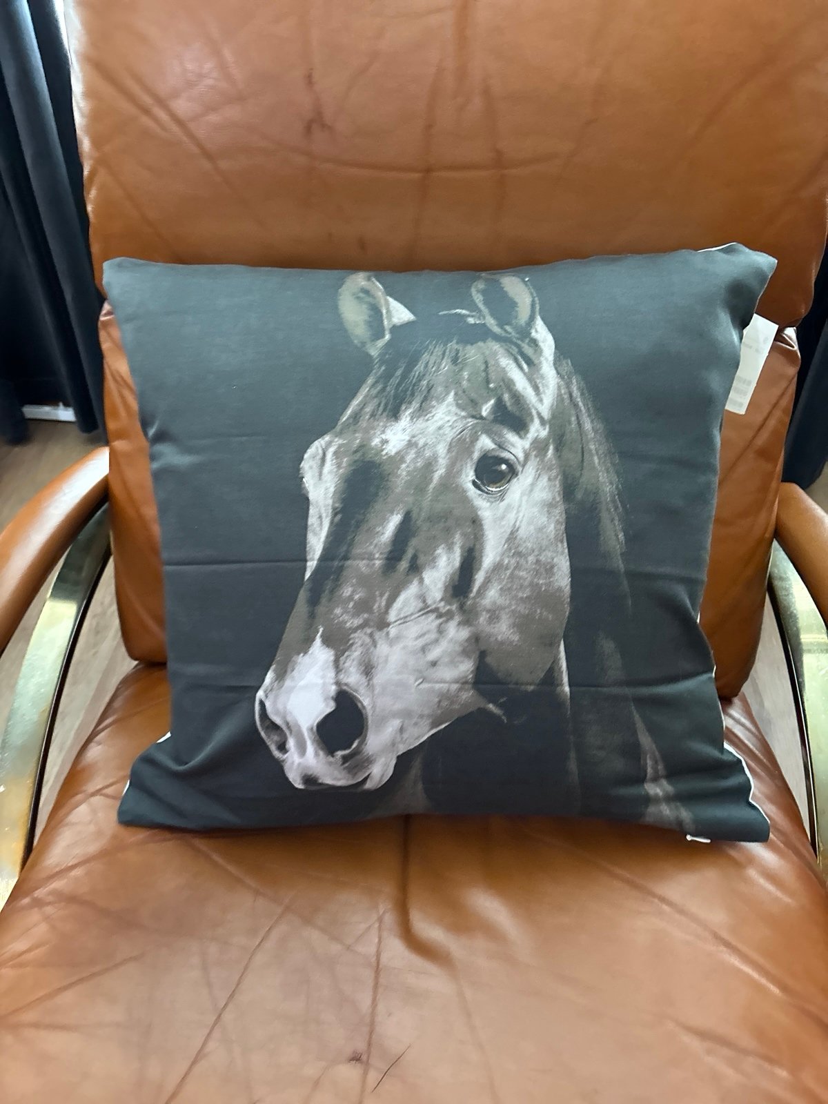 H&M X2 Horse face pillow covers
