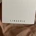 NWT. Zara Lingerie 100% Mulberry Silk Thong. Size L.