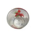 Poinsettia Low Ball 4 Glasses by Mary Lou Goertzen Portugal Crisal Drinking