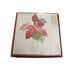 Poinsettia Low Ball 4 Glasses by Mary Lou Goertzen Portugal Crisal Drinking