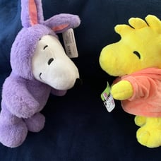 ♥️peanuts snoopy bunny and Woodstock carrot plush❤️