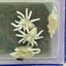 Grenadier Fantasy Classics #332 Rats & Spiders Miniature Figures AD&D D&D 1992