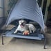 Outdoor Dog Bed with Canopy, XL Elevated Dog Bed, Dog Cot, Pet Bed