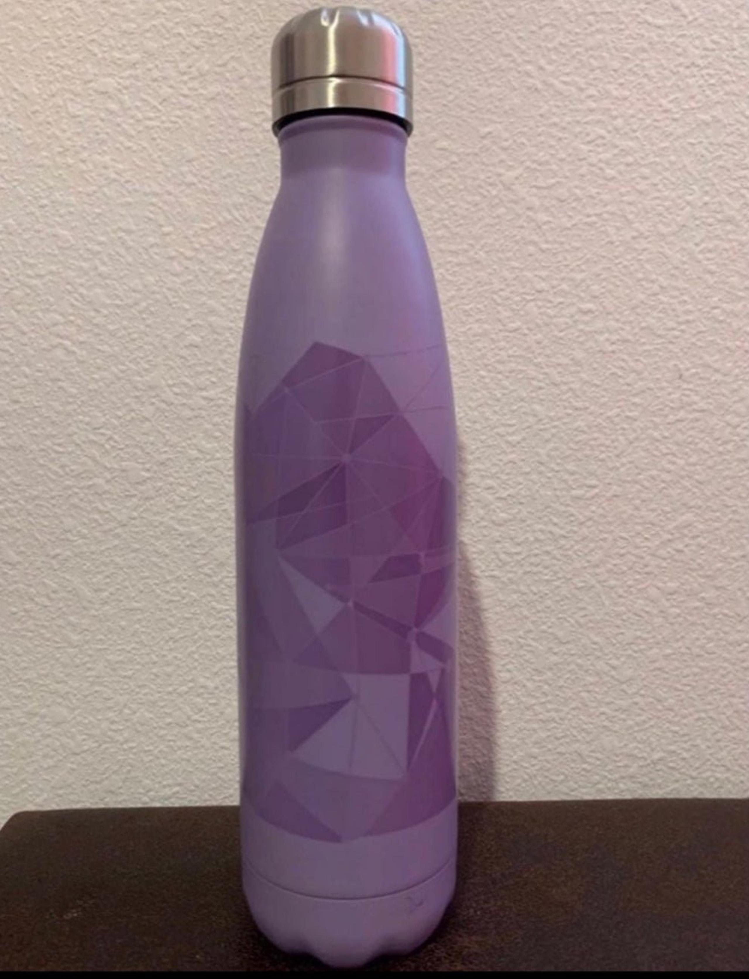 Disney Magic Kingdom Tomorrowland Purple Wall Stainless Steel Water Bottle
