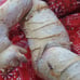 Unique Vintage Crusty Distressed Odd Doll Art
