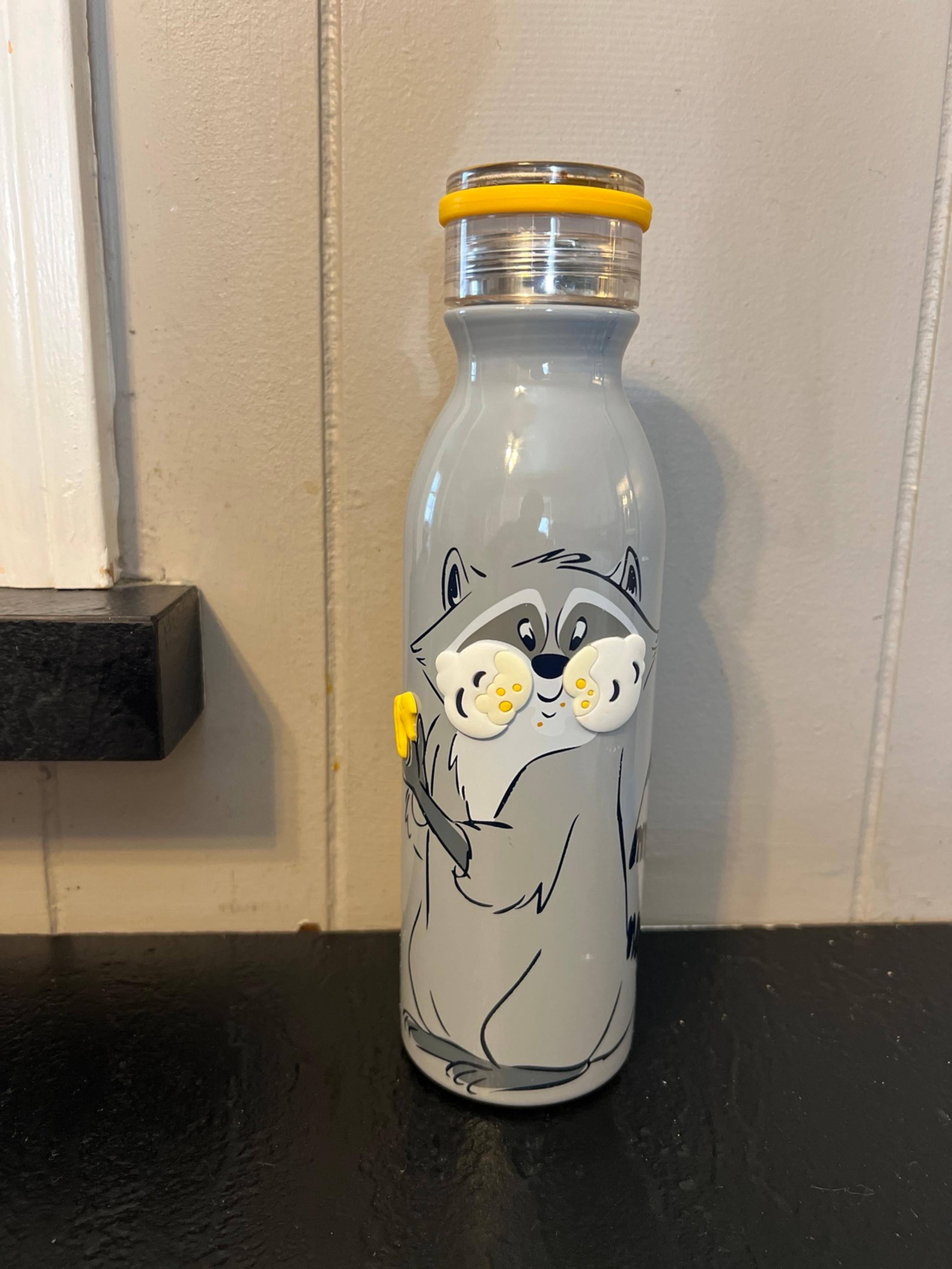 Disney Parks Pocahontas Meeko Racoon Gray Stainless Steel Water Bottle Tumbler