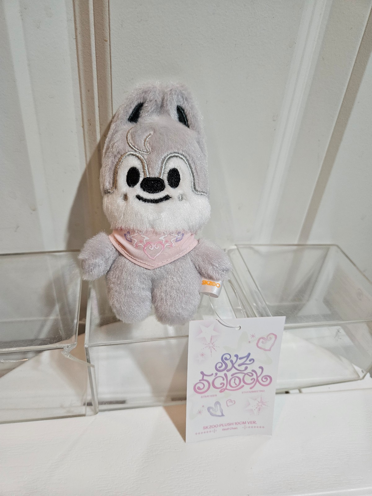 Stray Kids SKZOO PLUSH TEDDYBEAR Ver. - SKZ 5'clock