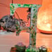 Letters & Crystals! Letter F & Amethys