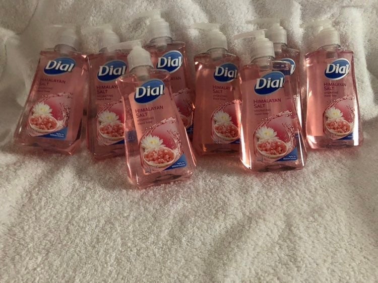 Dial Himalayan Pink Salt Hand Soap 8pk