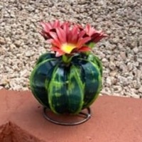 Metal Mini Green Bisnaga Cactus Yard Art Garden Decor