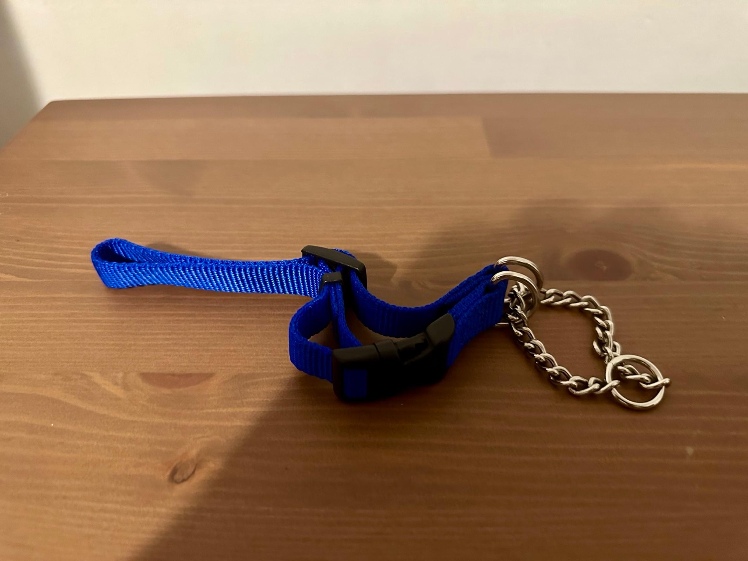 Coastal Dog Collar