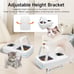 Automatic Cat Feeder, RFID Automatic Pet Feeder with Collar Sensor, Anti Food Gr
