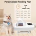 Automatic Cat Feeder, RFID Automatic Pet Feeder with Collar Sensor, Anti Food Gr