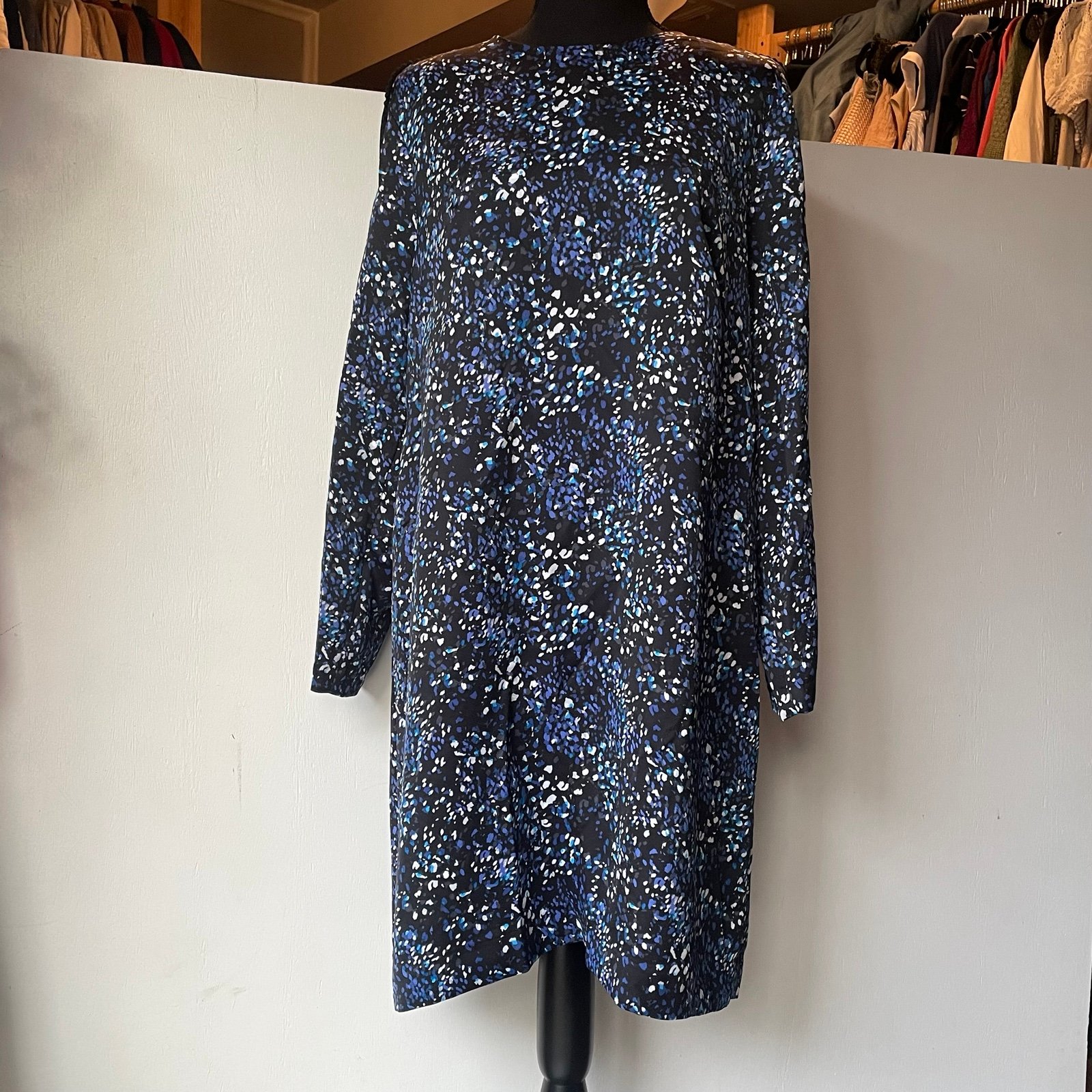Banana Republic Long Sleeve Lace Trim Blue Print Dress