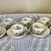 Franconia Krautheim Selb Bavaria Germany Meadow Flowers Cup and Saucers 16PCS