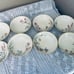 Franconia Krautheim Selb Bavaria Germany Meadow Flowers Cup and Saucers 16PCS