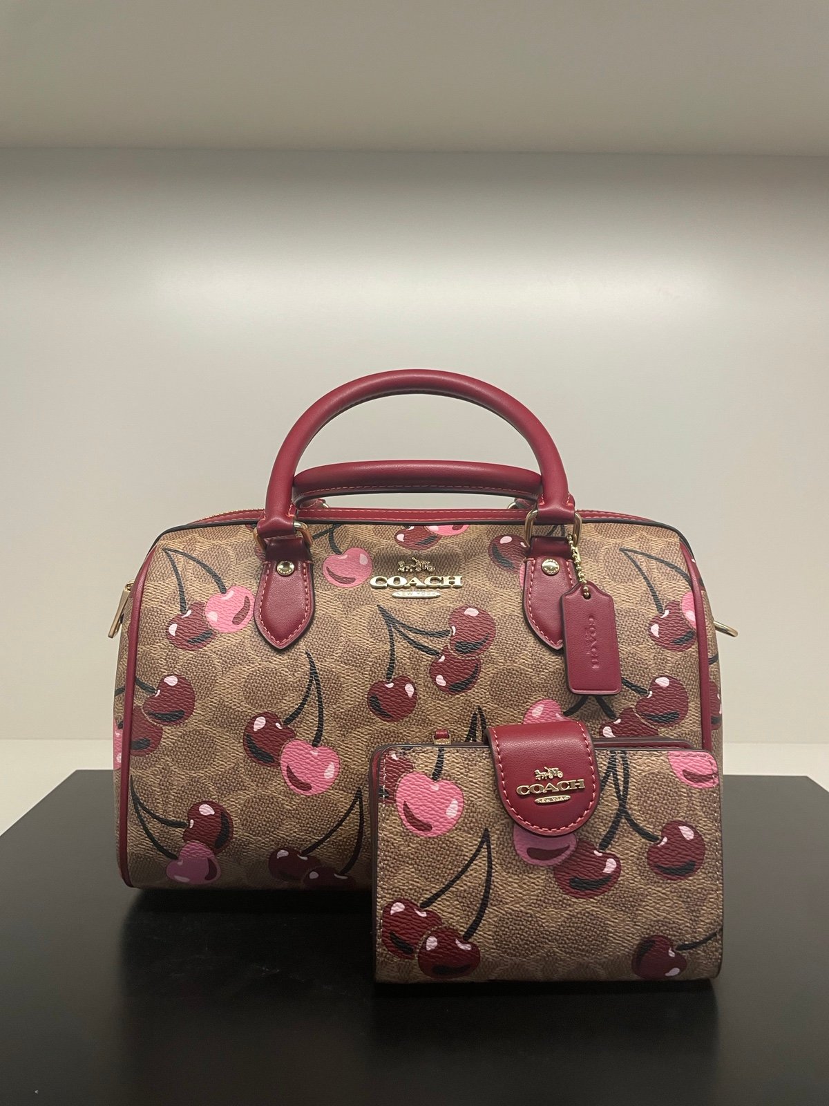 NWT！COACH ROWAN SATCHEL BAG IN SIGNATURE CANVAS WITH CHERRY PRINT（COACH CY692）