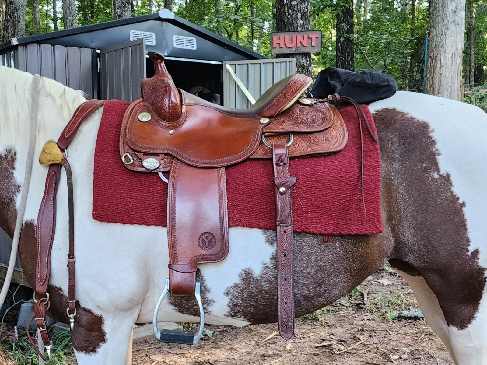 16 Circle Y Team Penning Saddle